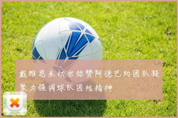 戴维恩米切尔称赞阿德巴约团队凝聚力强调球队团结精神