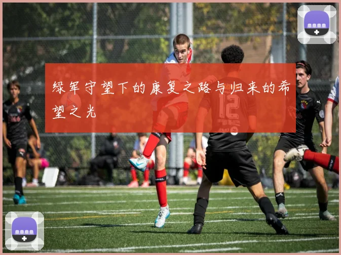 绿军守望下的康复之路与归来的希望之光